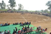 2011 (22).jpg