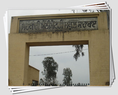 Government Primary School